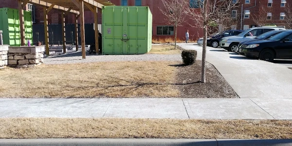 ReDiscover - Alternative Care